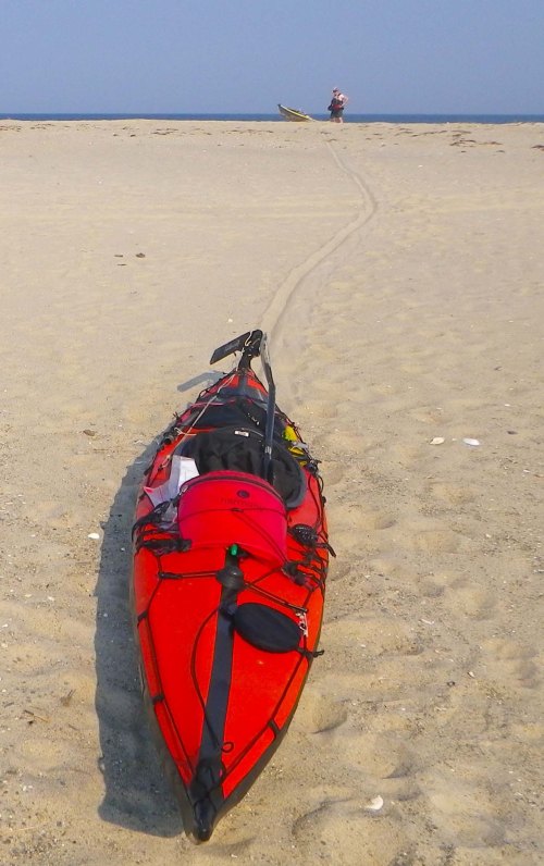 IMGP3711 cropped small 2