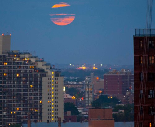 DSC_0003 cropped small