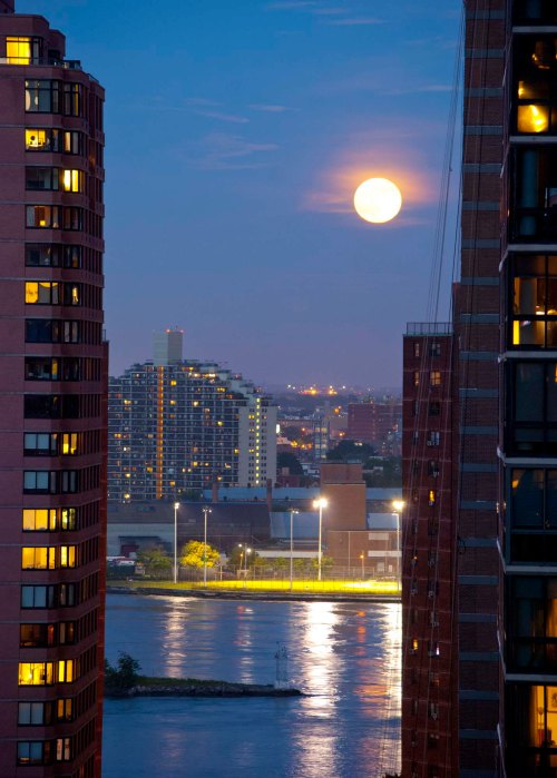 DSC_0032 cropped small