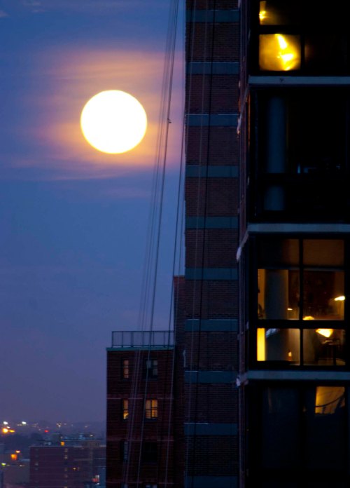 DSC_0049 cropped small