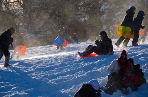 DSC_0141 cropped small