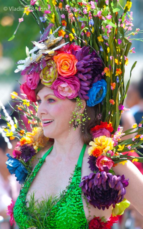 Colorful 5 Colorful 5