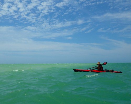 IMGP1490 cropped small