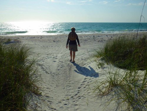 IMGP1524 cropped small