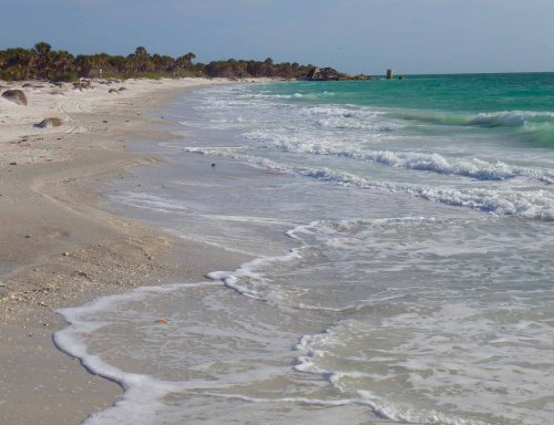 IMGP1528 cropped small