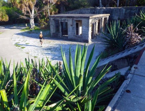 IMGP1563 cropped small