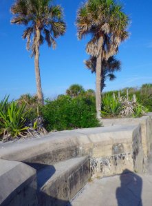 IMGP1566 cropped small