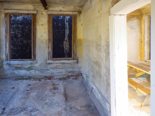 IMGP1571 cropped small