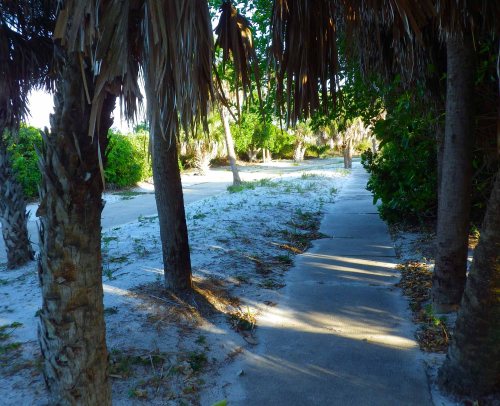 IMGP1593 cropped small