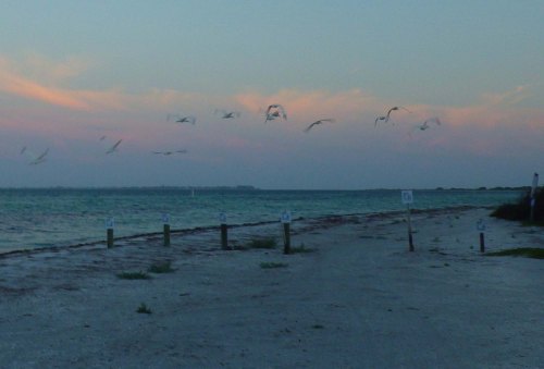 IMGP1616 cropped small