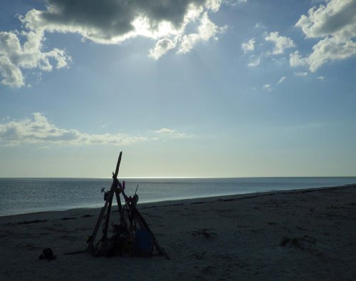 IMGP2532 cropped small