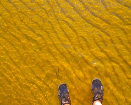 Cape Cod Bay, MA, 2011 IMGP3571 cropped small