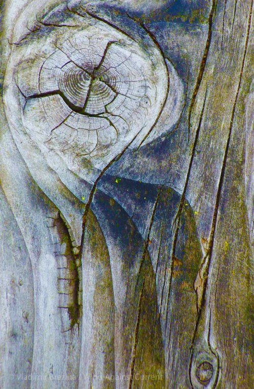 IMGP3315 cropped small