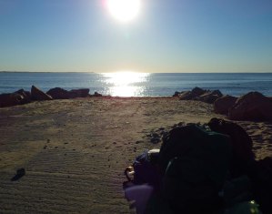 IMGP3459 cropped small