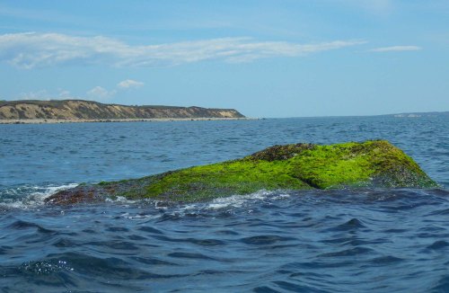 IMGP3727 cropped small