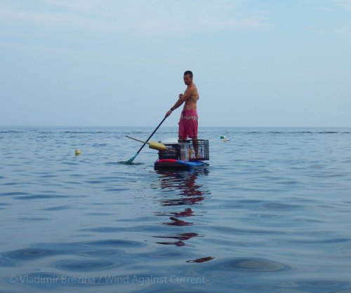 IMGP5092 cropped small