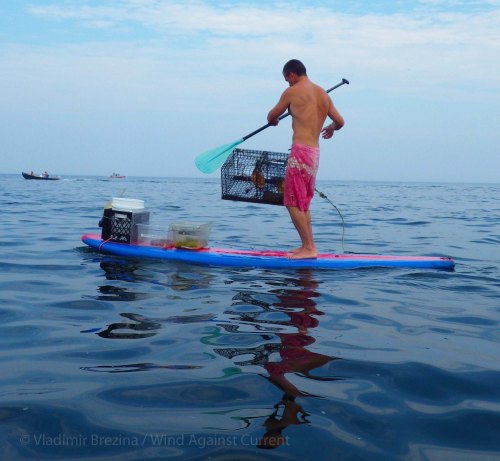 IMGP5095 cropped small