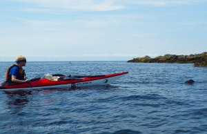 IMGP5374 cropped small