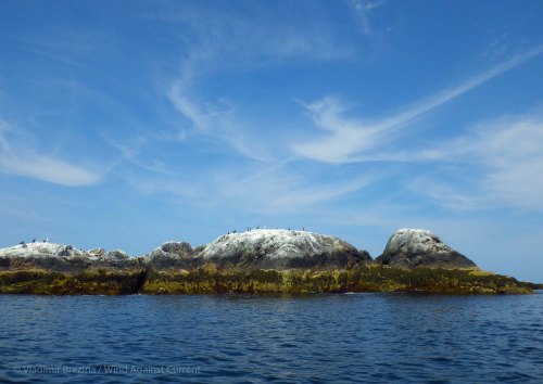 The Dry Salvages IMGP5457 cropped small