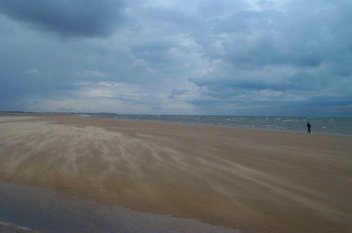 DCP_0232 cropped small