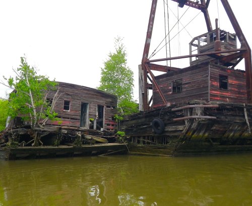 IMGP0540 cropped small