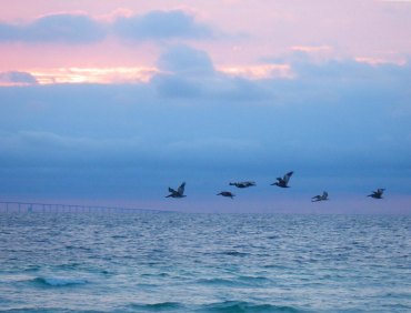 IMGP1630 cropped small