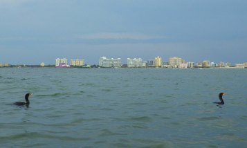 IMGP1766 cropped small