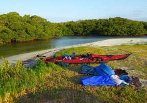 IMGP1810 cropped small 2