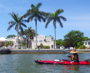 IMGP1838 cropped small