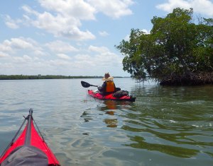 IMGP1889 cropped small