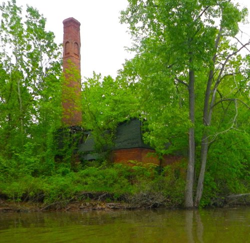 IMGP2460 cropped small