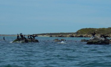 IMGP3479 cropped small