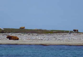 IMGP3485 cropped small