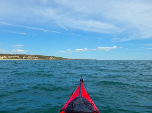 IMGP3503 cropped small