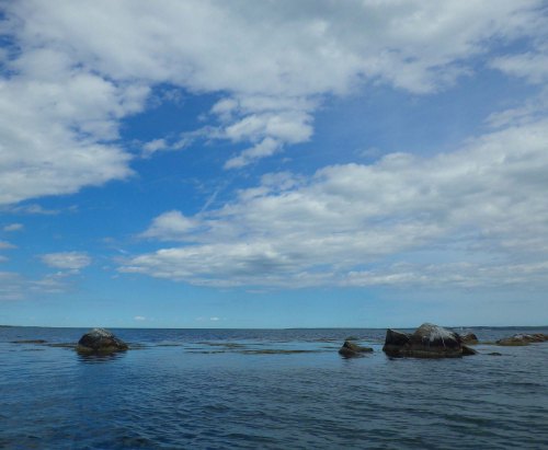 IMGP3543 cropped small