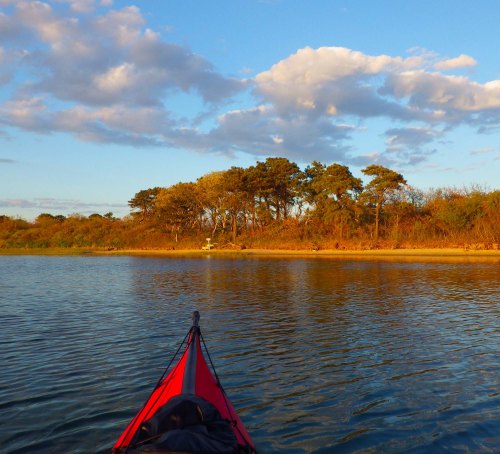 IMGP3555 cropped small