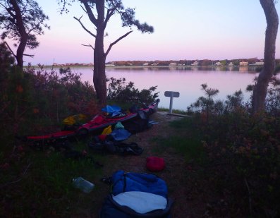 IMGP3601 cropped small