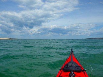 IMGP3745 cropped small