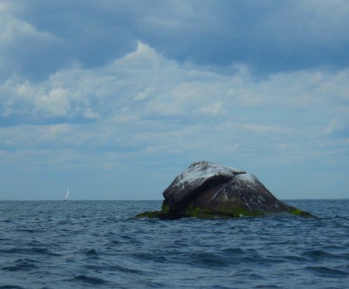 IMGP3753 cropped small