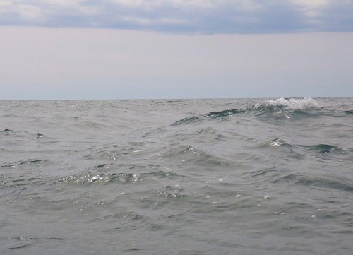 IMGP3756 cropped small