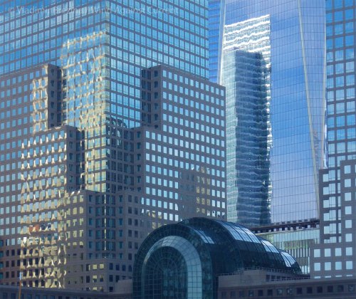 IMGP5787 cropped small