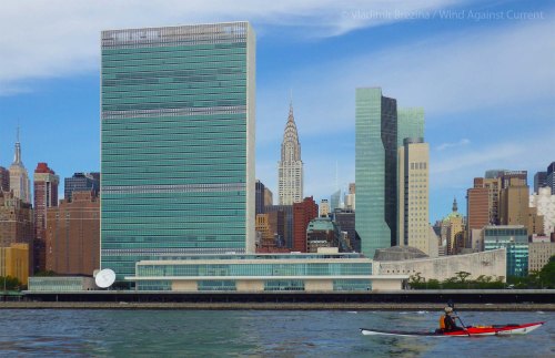 IMGP5866 cropped small