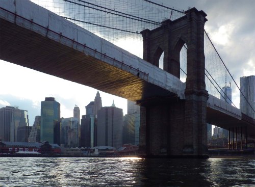 IMGP6127 cropped small