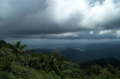 Distant views 3 DCP_0324