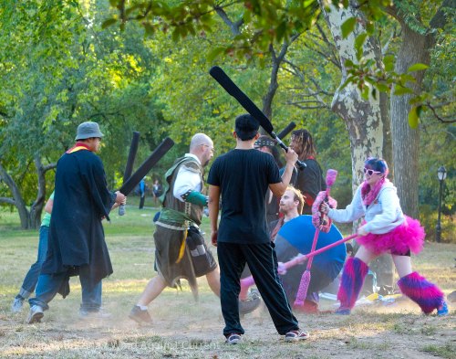 DSC_0054 cropped small