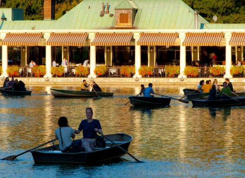 DSC_0219 cropped small