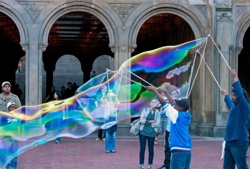 DSC_0262 cropped small