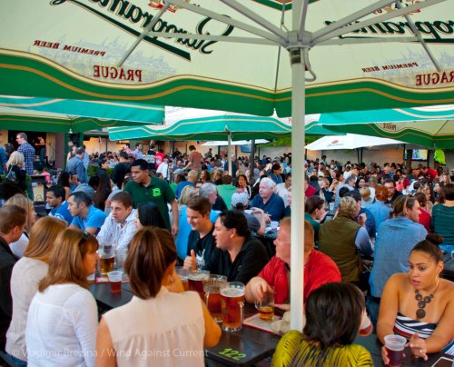 Relaxing Saturated DSC_0636 cropped small