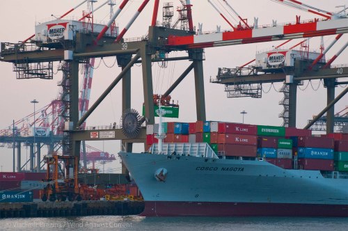 New York Harbor 3 New York Harbor 3