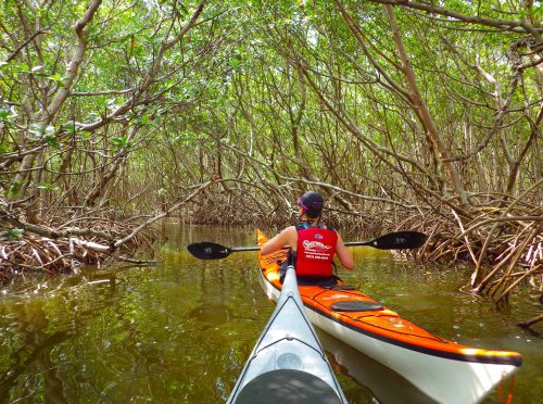 St. Pete, FL IMGP5772 cropped small